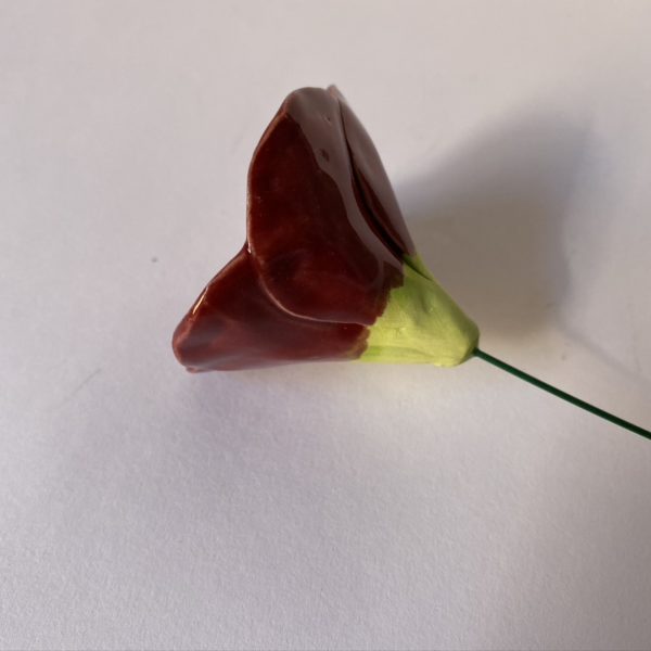 Premium Flowers - Image 7