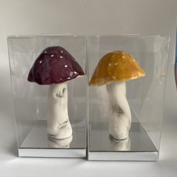 Ceramic Mushrooms - Image 8