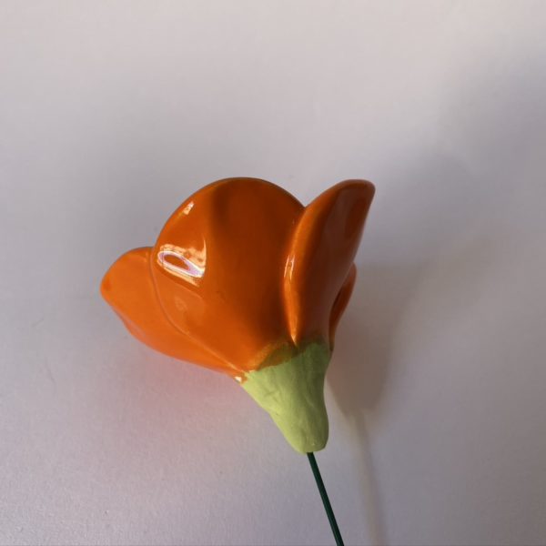 Premium Flowers - Image 16