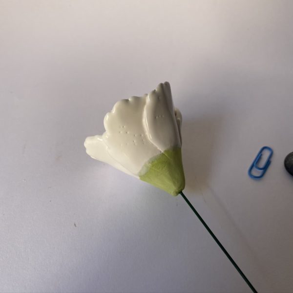 Premium Flowers - Image 12