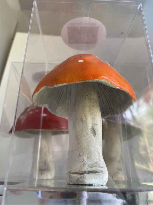 Ceramic Mushrooms - Image 6